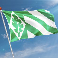 Alternative view of Vlag Vriezenveen