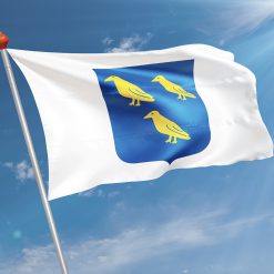 Alternative view of Vlag Waspik