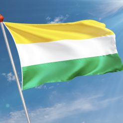 Alternative view of Vlag Wijhe