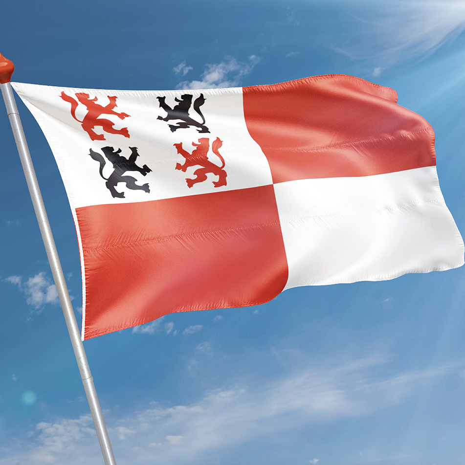 Vlag Wormerveer