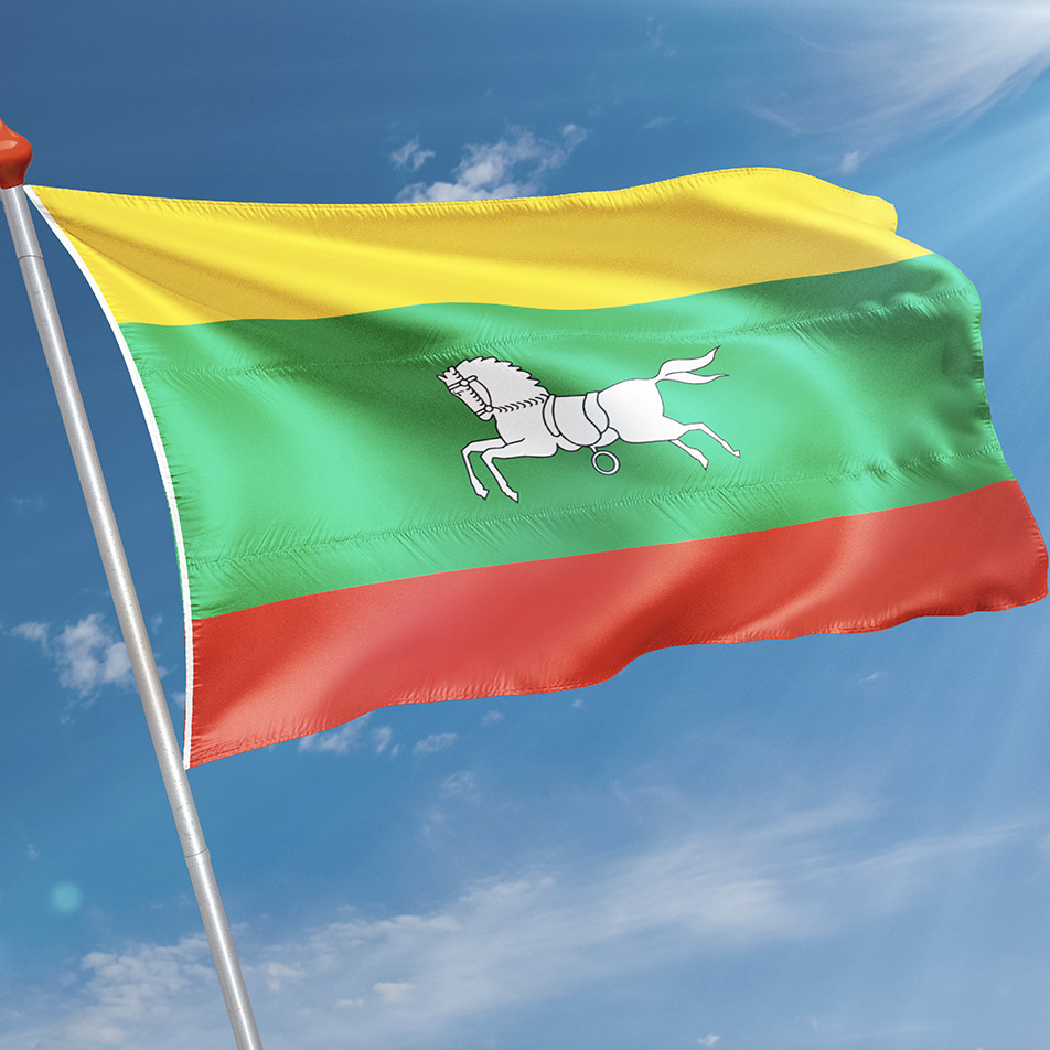Vlag Zuidlaren