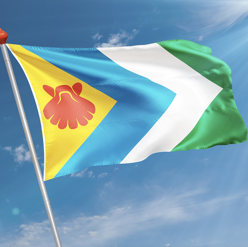 Vlag Zwaagdijk-West