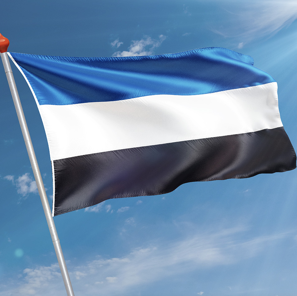 Vlag 's-Gravenpolder