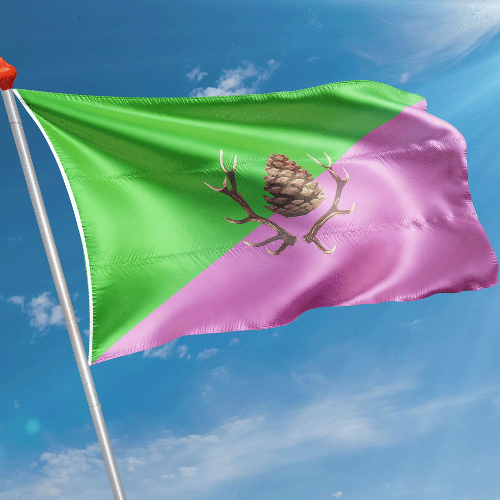 Vlag Stroe