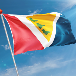 Alternative view of Vlag Vogelenzang