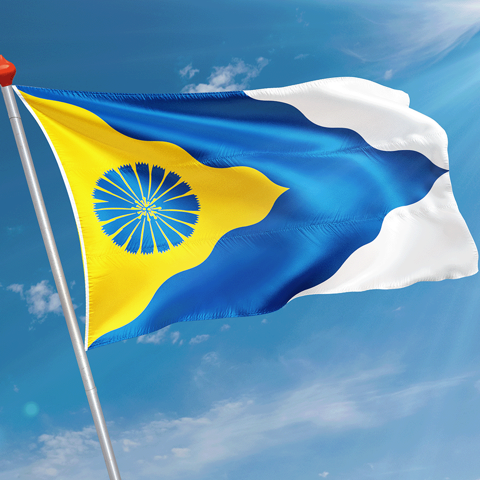 Vlag De Valom (De Falom)
