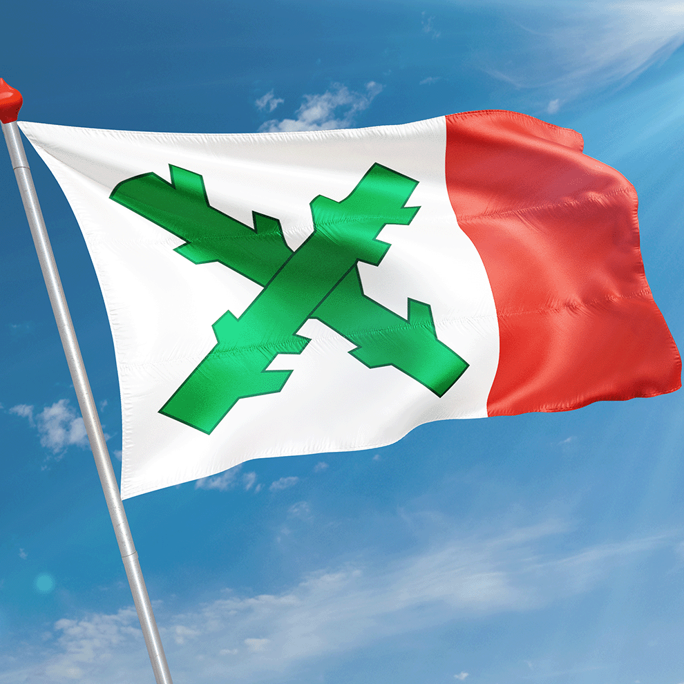 Vlag Friens