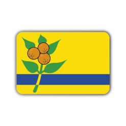 Vlag Oranjewoud (Oranjewâld)