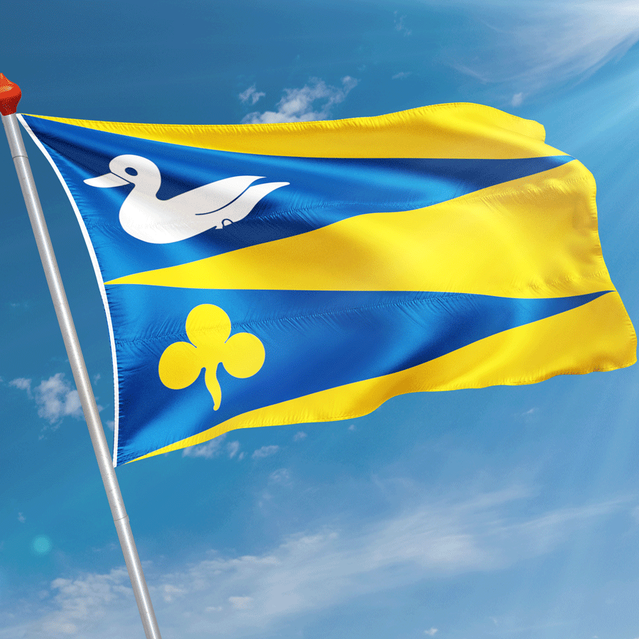 Vlag Waaksens