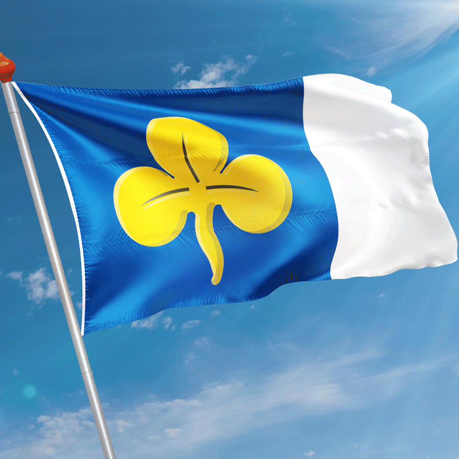 Vlag Warstiens