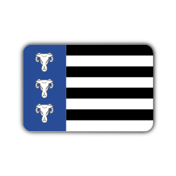 Vlag Waskemeer (Waskemar)