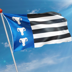 Alternative view of Vlag Waskemeer (Waskemar)