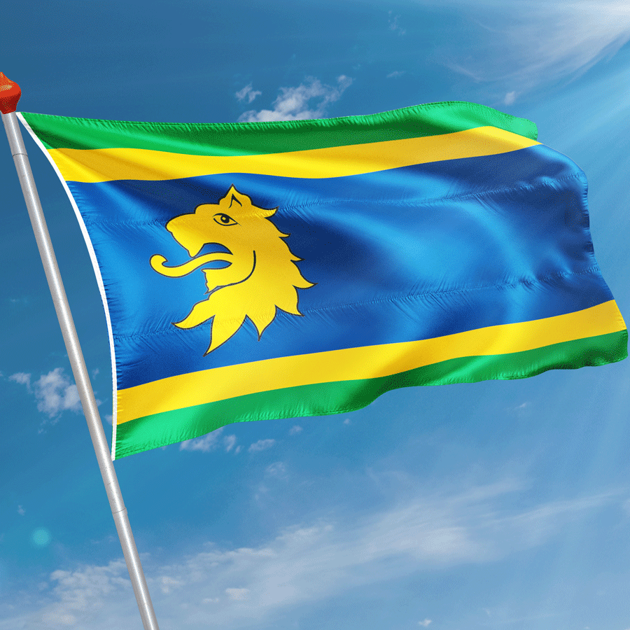 Vlag Wier