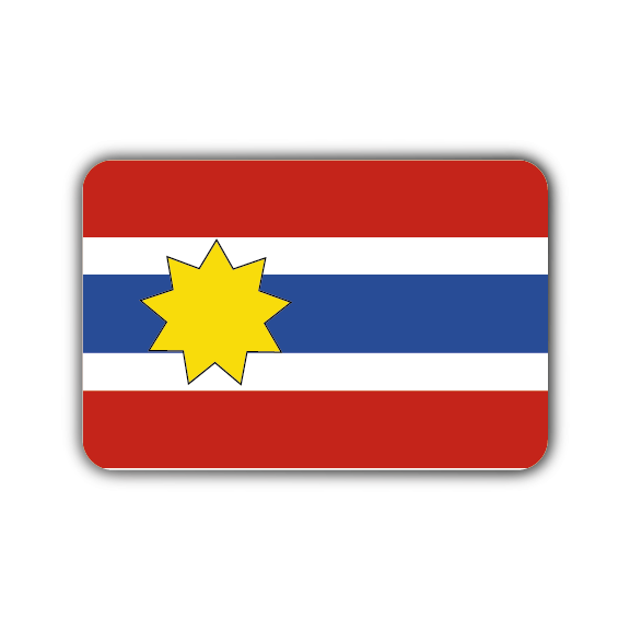 Vlag Wijns (Wyns)