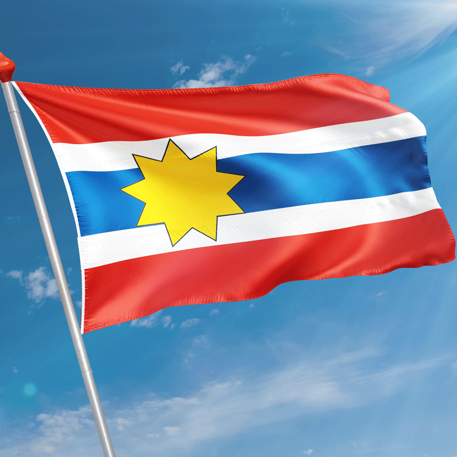 Vlag Wijns (Wyns)