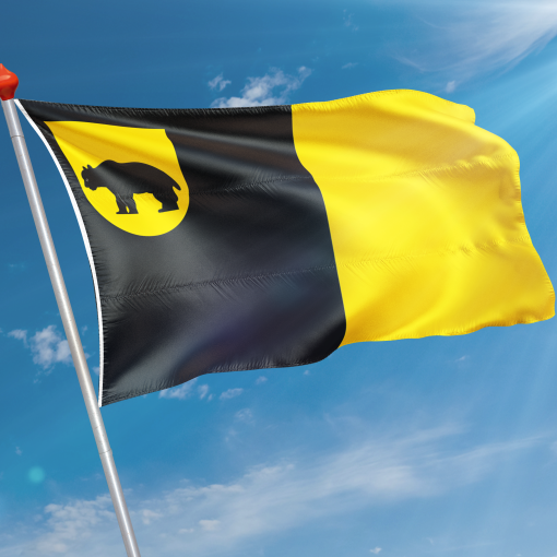 Vlag Baarland