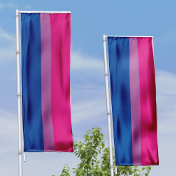 Alternative view of Banier Bi-Pride