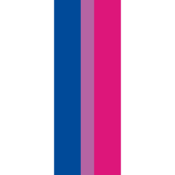 Banier Bi-Pride