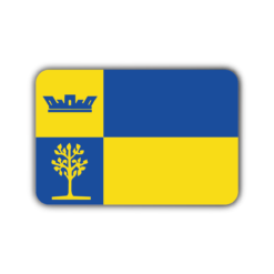 Vlag Delden
