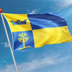 Alternative view of Vlag Delden