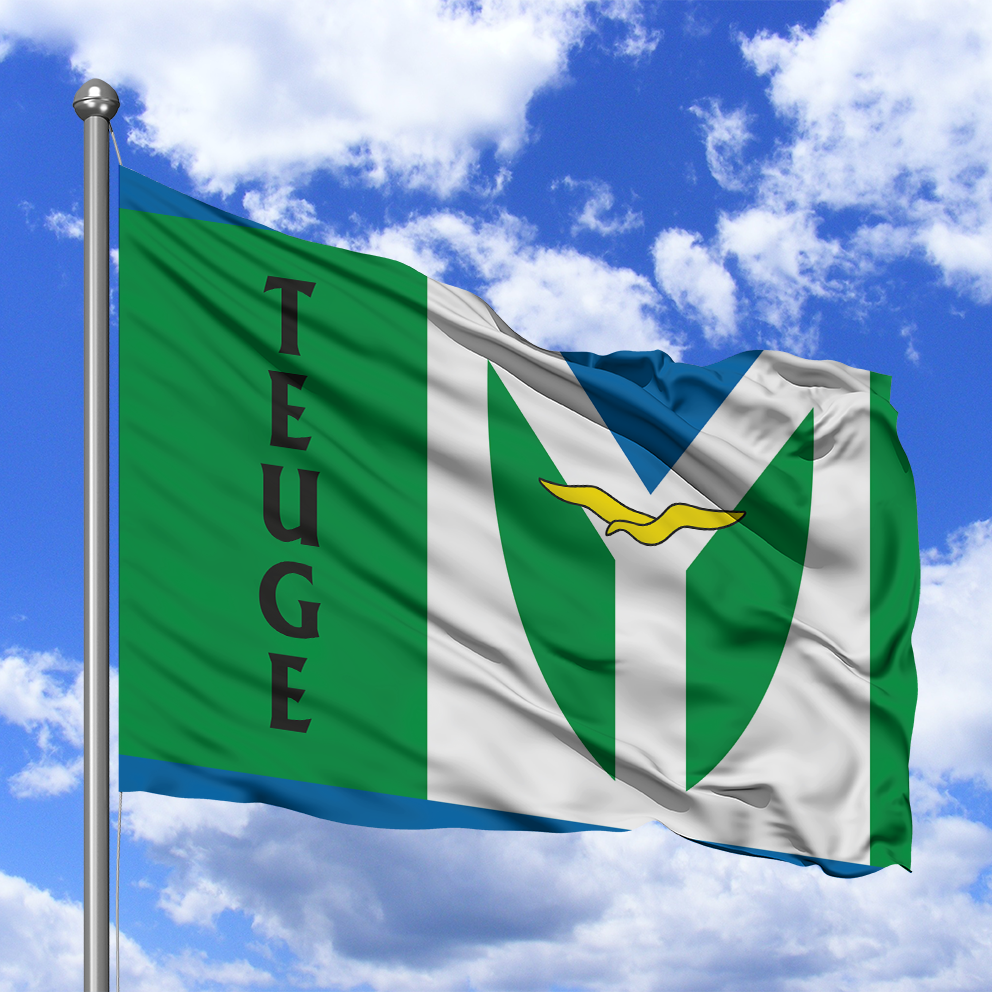 Vlag Teuge